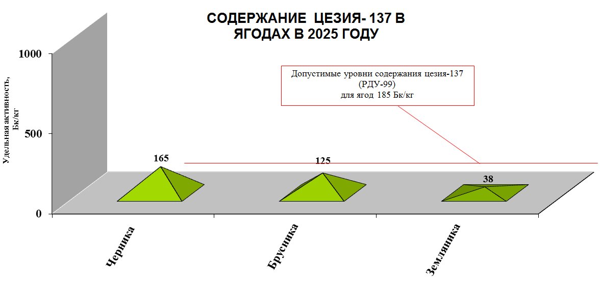 2025 yagody